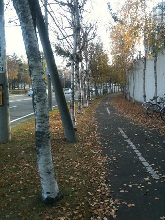 091107.JPG