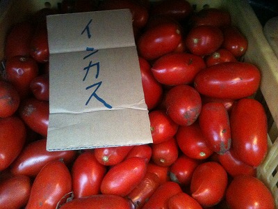Rs-tomato_inkasu.jpg