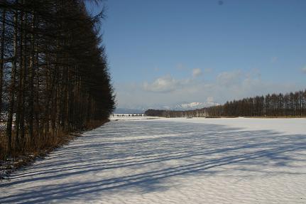winter_bousuurin.JPG